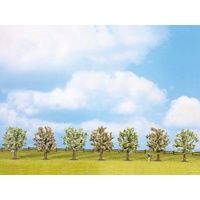 Noch - HO, TT, N, Z Fruit Trees In Blossom, 7 Pieces, Approx. 8cm High