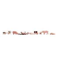 Noch - N Pigs 