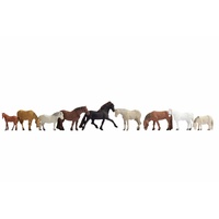 Noch - N Horses 