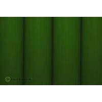 (21-042-002) PROFILM LIGHT GREEN 2 MTR