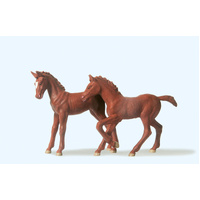 Preiser - 1:25 2 Foals - 47025
