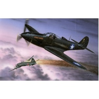 Special Hobby - 1/32 P-39Q "Makin Airacobras" HI-TECH Plastic Model Kit