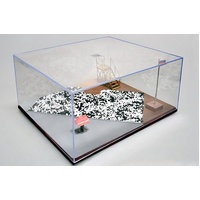 Trumpeter Sand Table Show Case