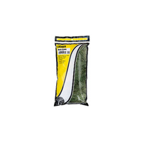 Woodland Scenics - Lichen - Dark Green - L164